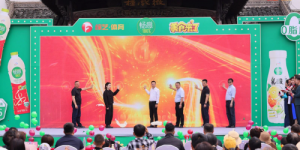 2025“畅游江淮 皖美乡宴行”美食文化活动黄山盛大启幕